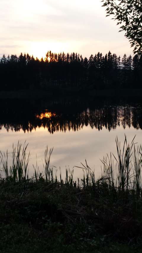 Northern Wilderness Lodge